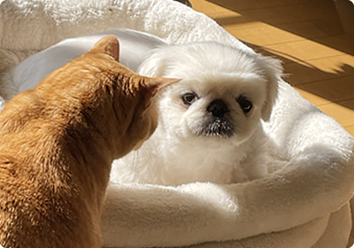 気になる症状がありましたらご相談ください