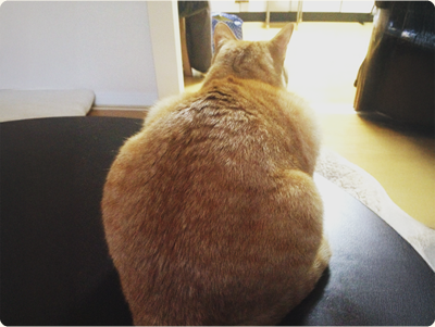 ちょっと大きいかな?と思ったら…