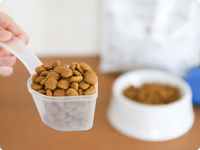 肥満対策について