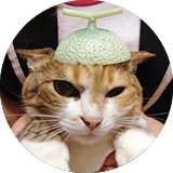 ネコちゃんの予防接種について