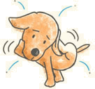 ノミ・ダニの予防