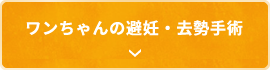ワンちゃんの避妊・去勢手術