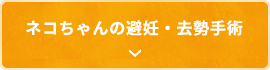 ネコちゃんの避妊・去勢手術