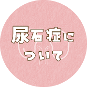尿石症について