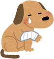 歩き方がおかしい?と思ったら