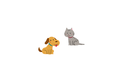 定期検診