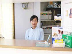 診療助手 やなぎぼり