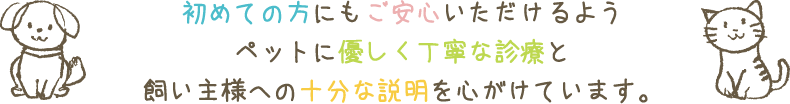 初めての方にもご安心いただけるようペットに優しく丁寧な診療と飼い主様への十分な説明を心がけています。