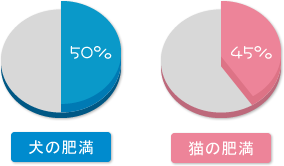 肥満～太りすぎの犬猫の割合（日本ヒルズ調べ）