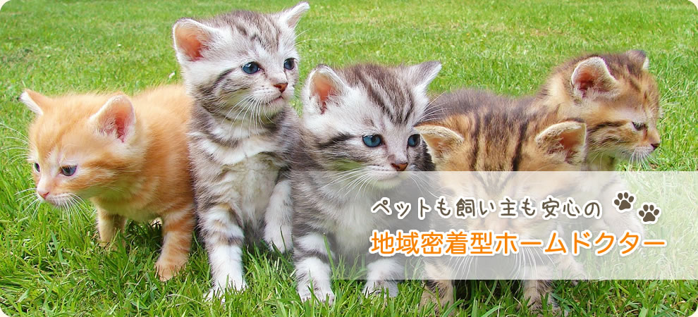 ペットも飼い主も安心の地域密着型ホームドクター